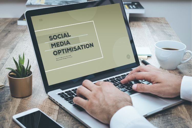 Webology World will create and manage your local SEO strategy and bring your business at the top of the local search engine.